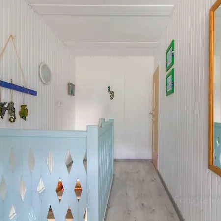 Seahorse - * Rowy (Pomerania)