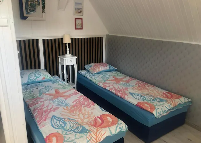 Seahorse - * Rowy (Pomerania)