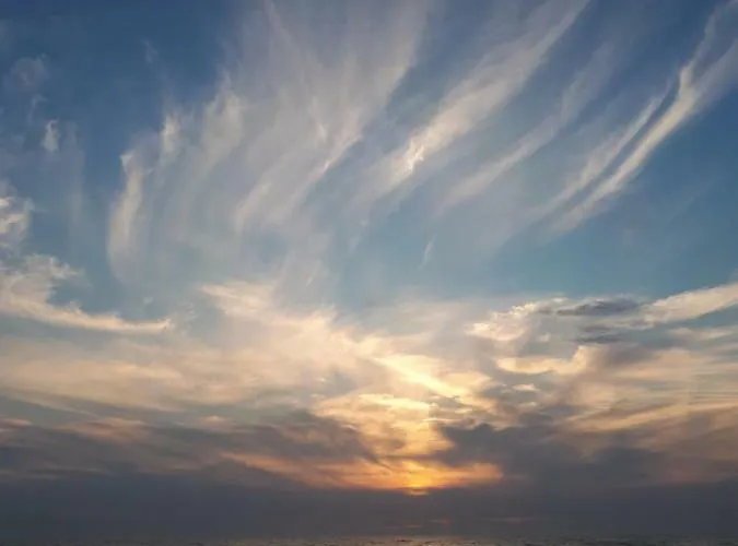 Seahorse - Rowy (Pomerania)